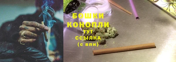ПСИЛОЦИБИНОВЫЕ ГРИБЫ Алексеевка