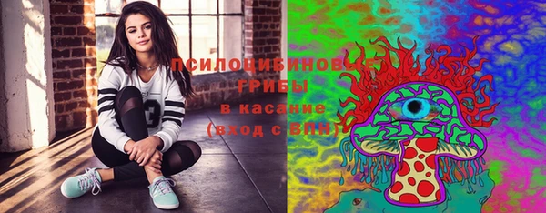 а пвп мука Алзамай