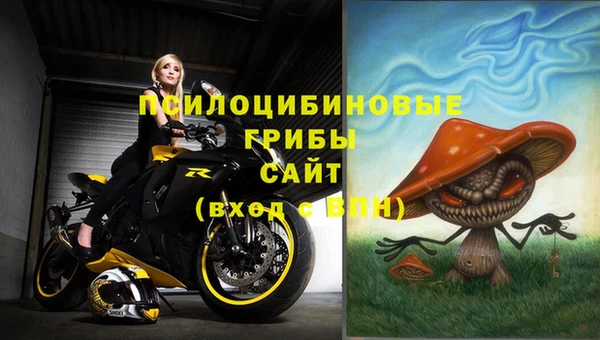 а пвп мука Алзамай