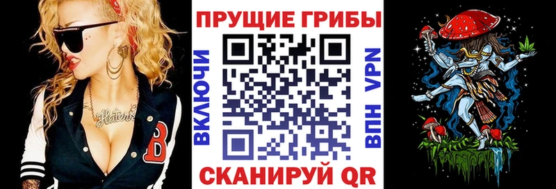 Галлюциногенные грибы Psilocybine cubensis  дарк нет наркотические препараты  Сосенский 